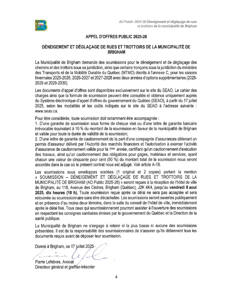 thumbnail of Publication sur Internet